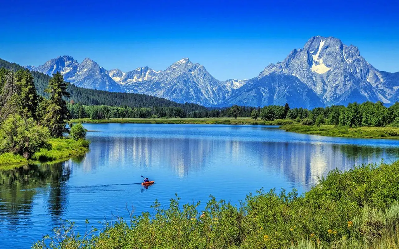 创意全自动高性能